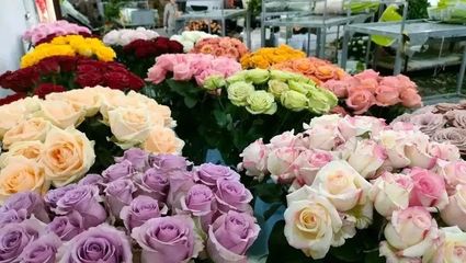 王鵬程 在“花花世界”中探尋致富路的勞務服務先行者