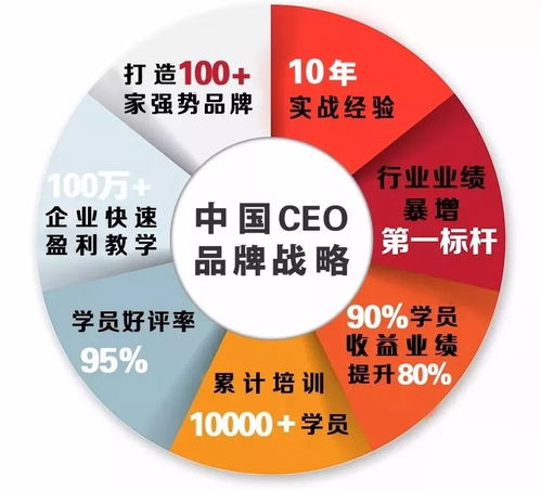 中國CEO品牌戰(zhàn)略與營銷策劃研修班 以專業(yè)服務(wù)驅(qū)動企業(yè)品牌國際化進程